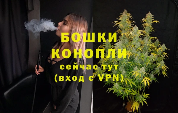 молекула духа Белоозёрский
