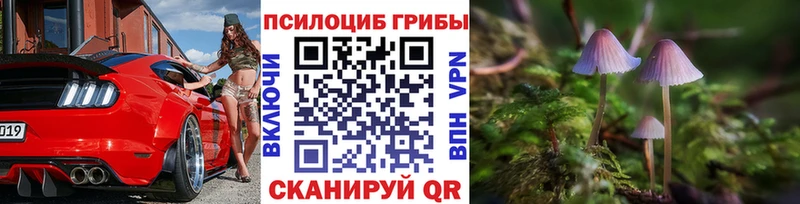 mega зеркало  Покровск  Галлюциногенные грибы Psilocybe 